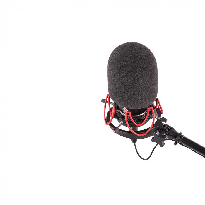 Neumann TLM 102+Rycote InVision USM セット InVision USM-L - RYC044903 | Rycote Global